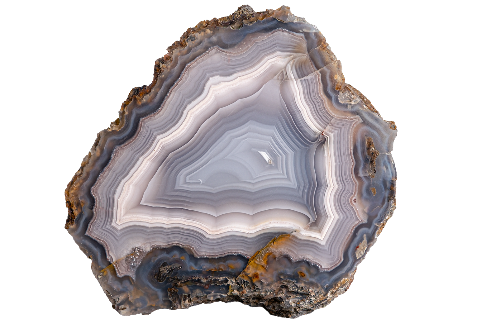 A polished cross-section of agate or jasper stone with concentric bands of gray, white, blue-gray, and brown, shown on a plain white background.