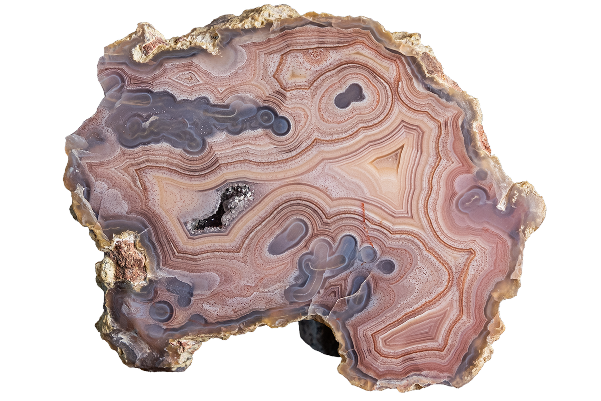 A polished slice of agate geode showing intricate concentric band patterns in shades of brown, beige, gray, and purple, with a rough natural crystalline edge.