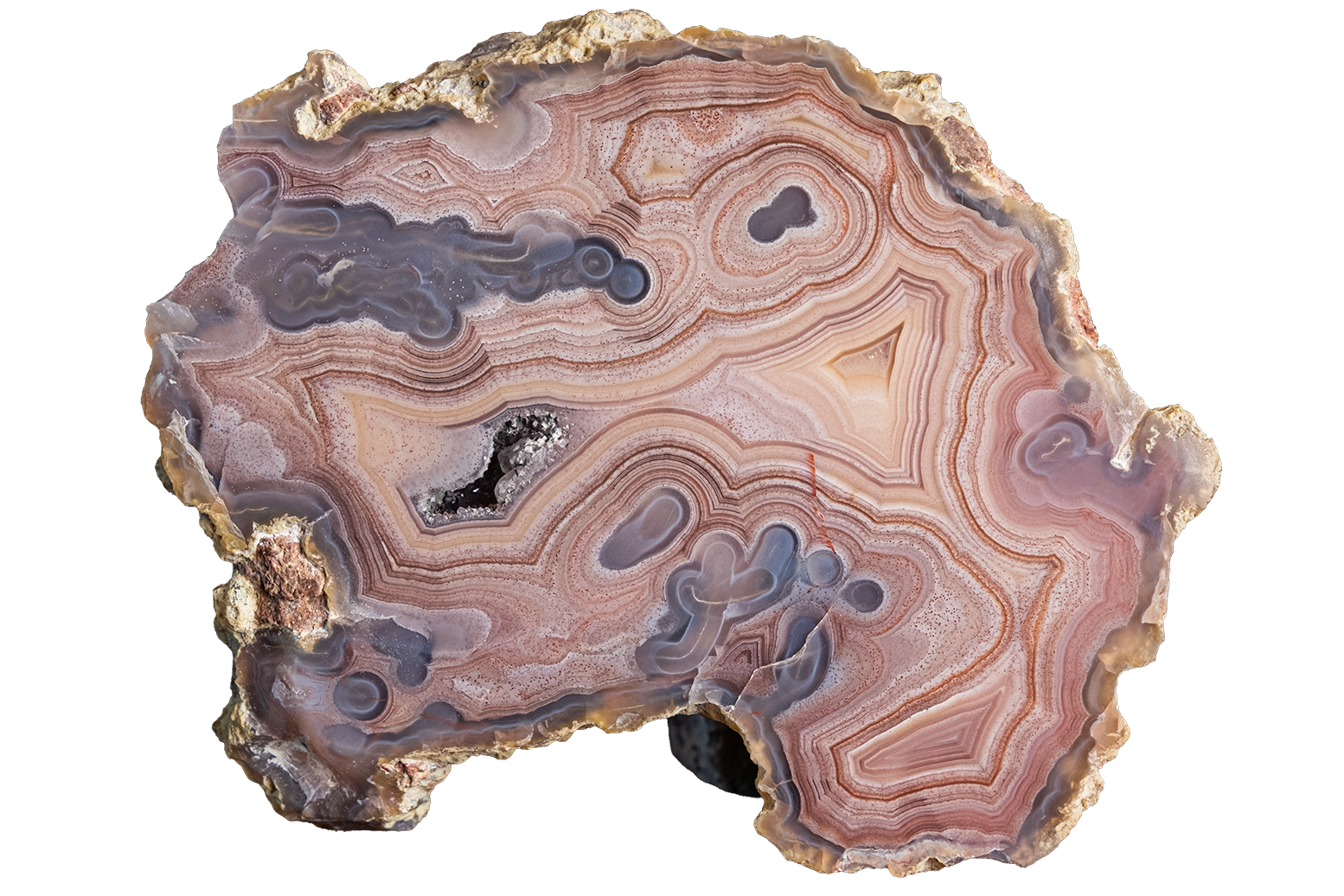 A polished slice of agate geode showing intricate concentric band patterns in shades of brown, beige, gray, and purple, with a rough natural crystalline edge.