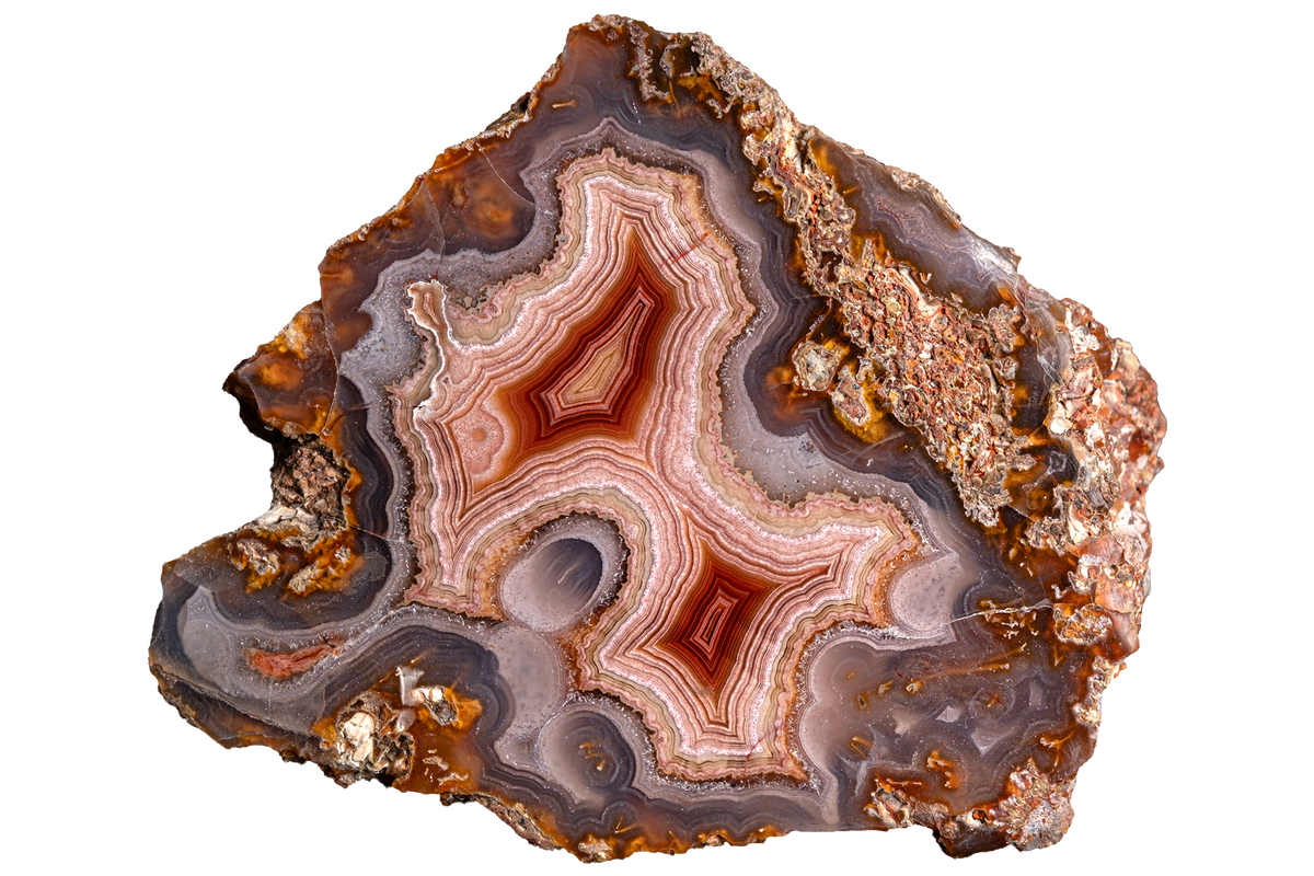 A polished agate geode slice with concentric bands of brown, reddish-brown, beige, and gray, isolated on a solid white background.