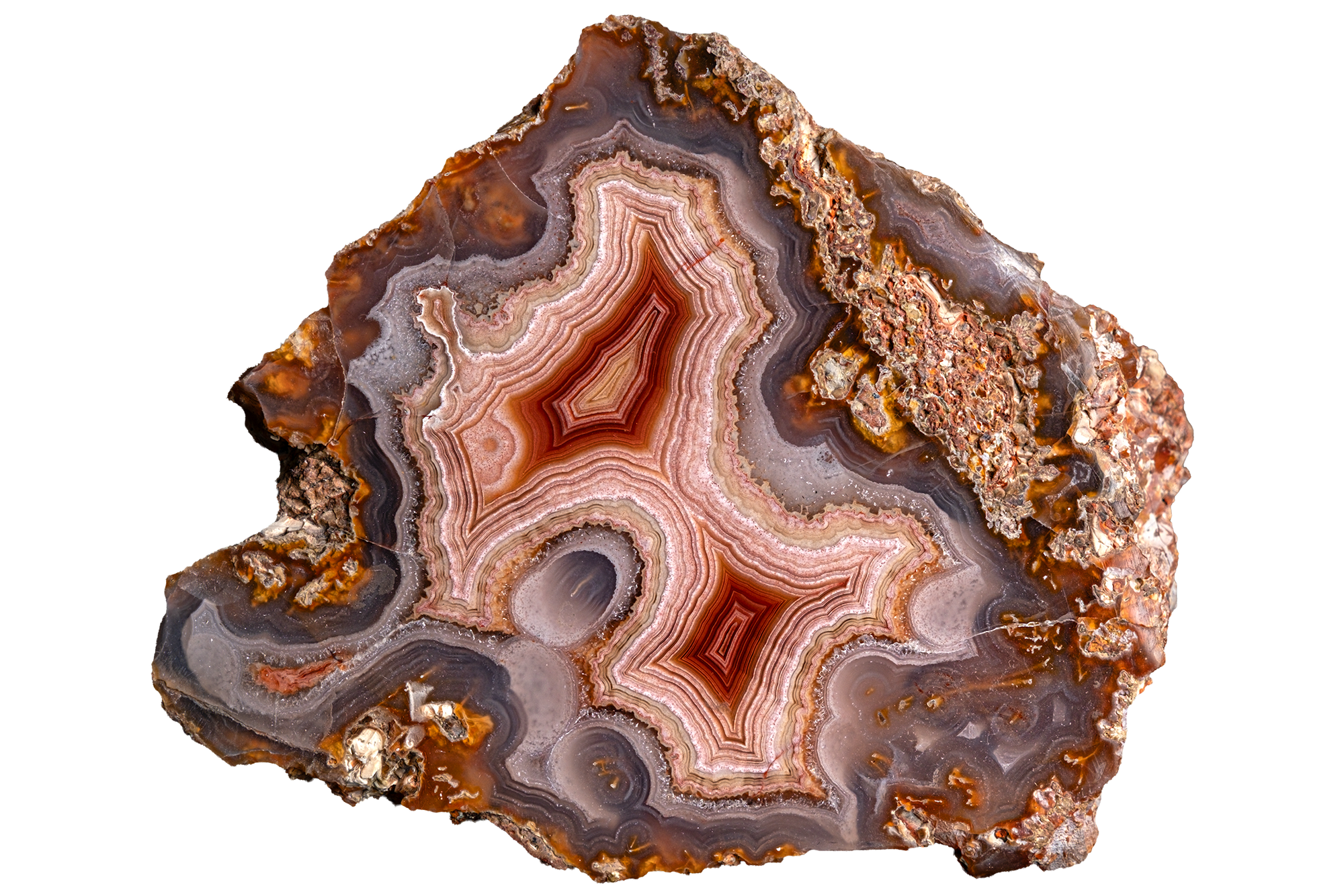 A polished agate geode slice with concentric bands of brown, reddish-brown, beige, and gray, isolated on a solid white background.