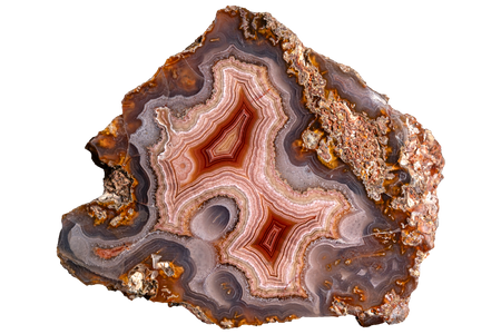 A polished agate geode slice with concentric bands of brown, reddish-brown, beige, and gray, isolated on a solid white background.