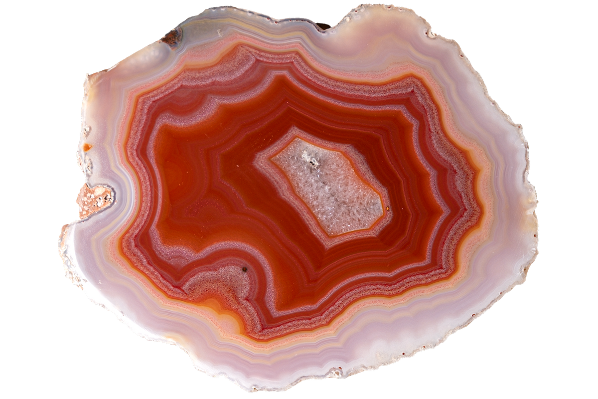 A polished slice of agate or jasper stone with concentric bands of red, orange, pink, and cream, isolated on a solid white background.