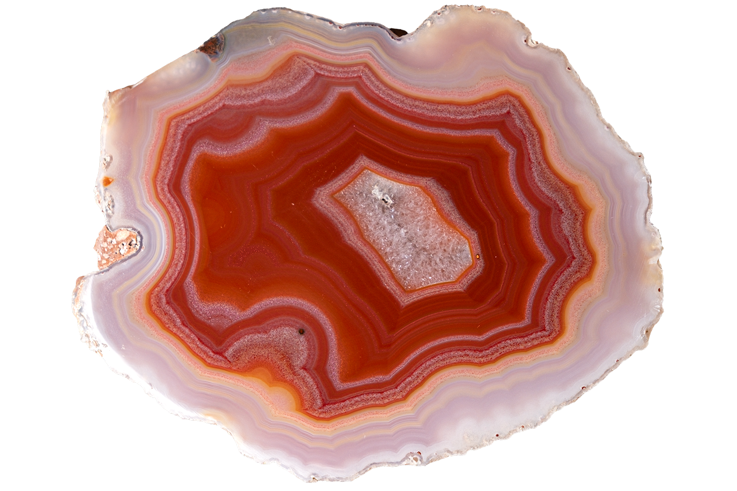 A polished slice of agate or jasper stone with concentric bands of red, orange, pink, and cream, isolated on a solid white background.