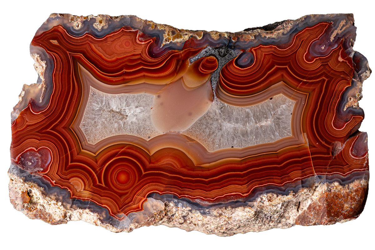 A polished slice of agate or banded stone with concentric bands of red, orange, brown, cream, and gray, shown on a plain white background.