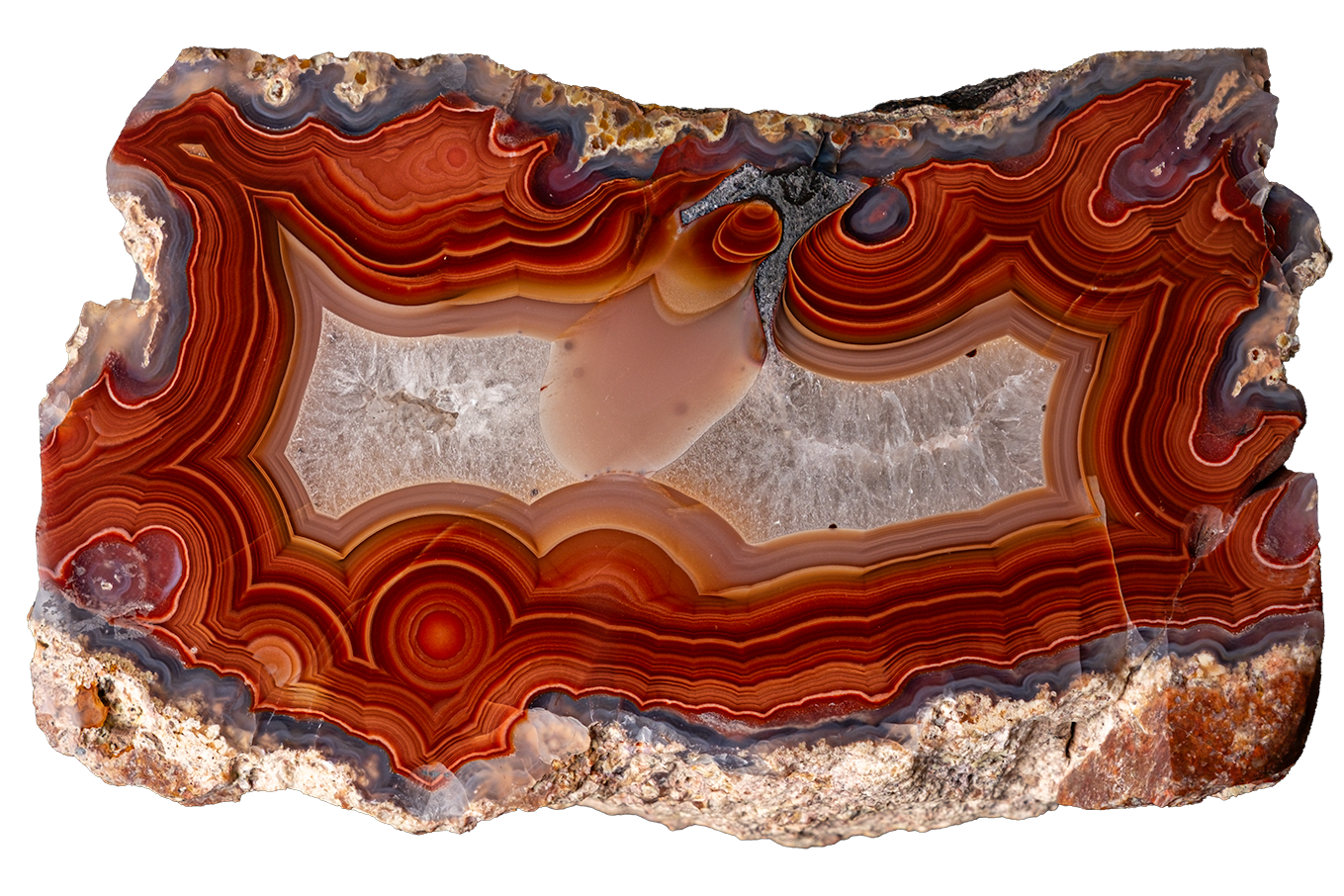 A polished slice of agate or banded stone with concentric bands of red, orange, brown, cream, and gray, shown on a plain white background.