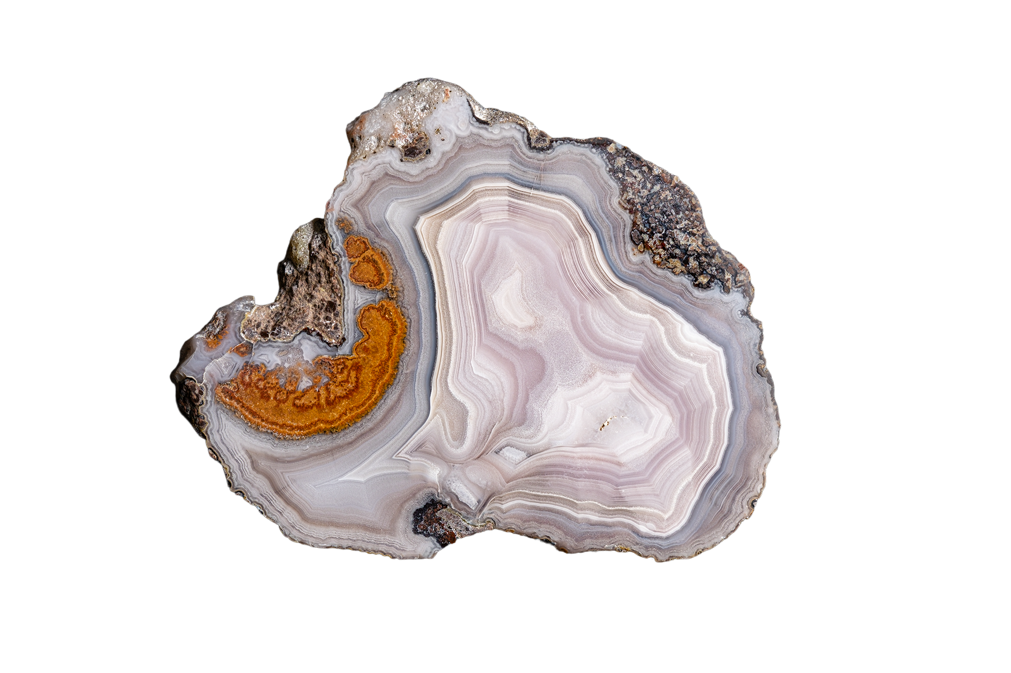 Ochre Crescent AGATE - Ojo Laguna | LAGB03-01