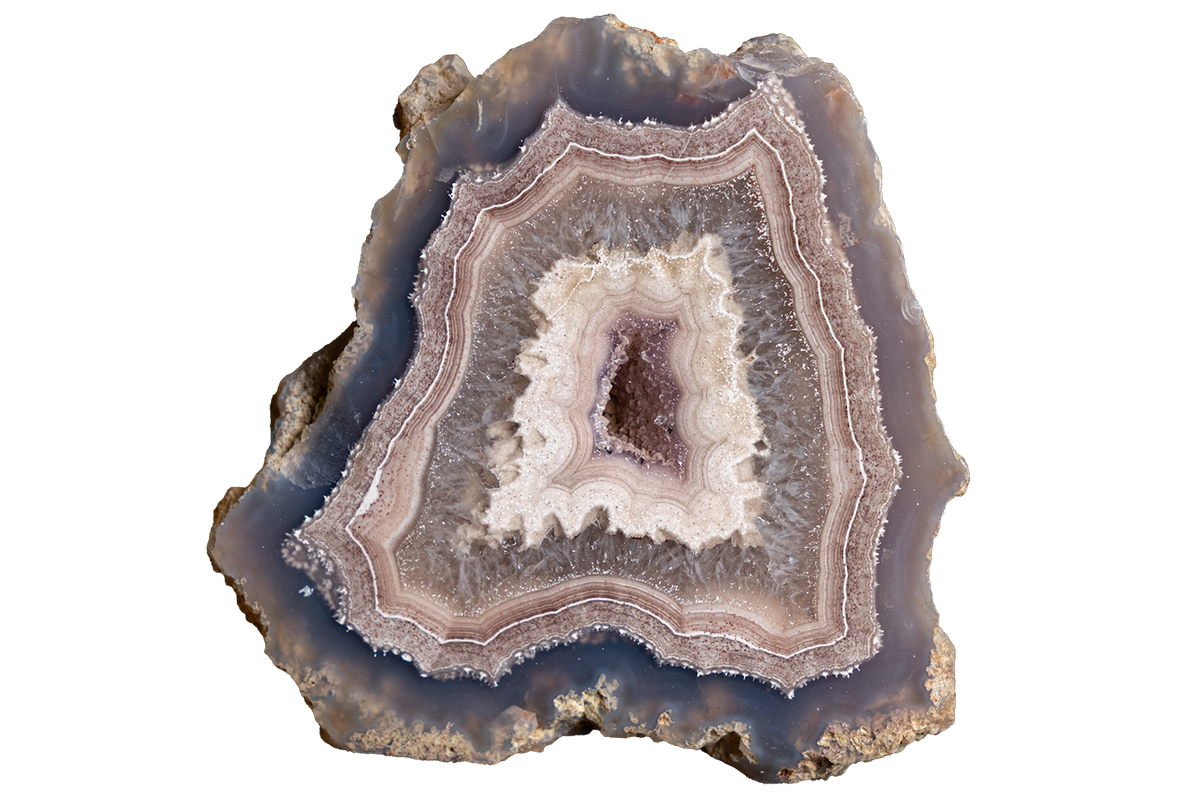 A polished agate geode slice with concentric bands of gray, lavender-purple, cream, and brown, isolated on a solid white background.