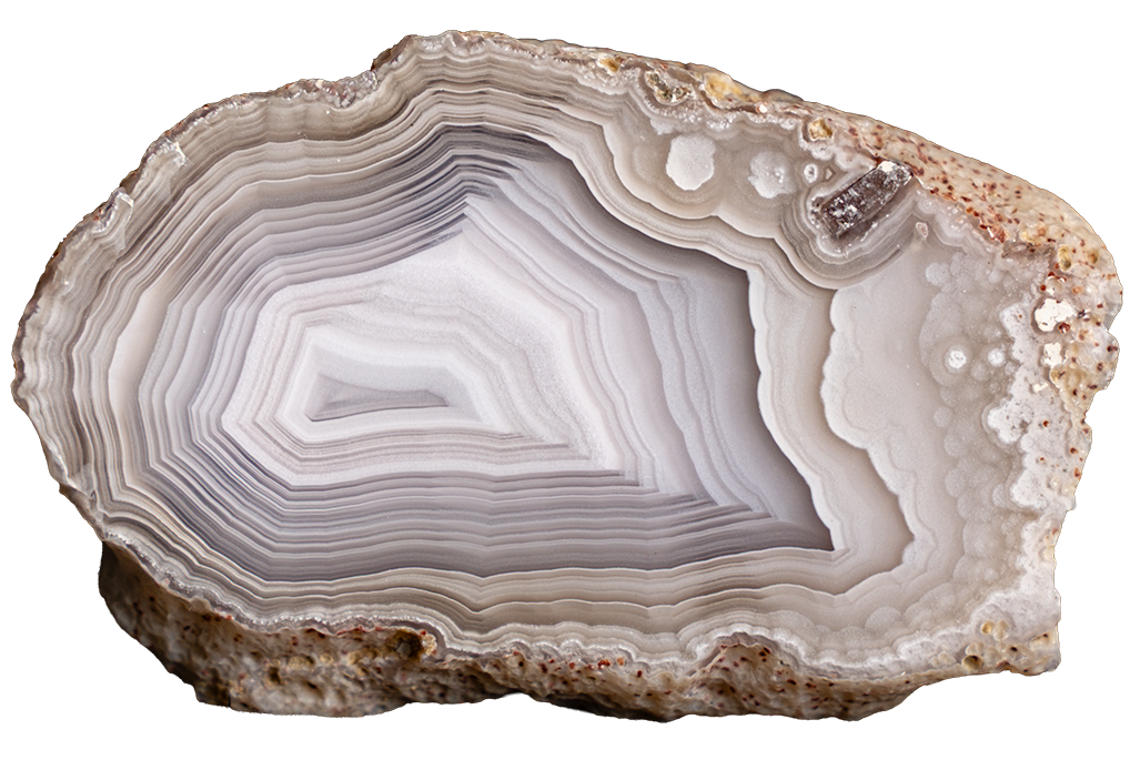 A polished cross-section of an agate geode specimen with concentric banding in shades of gray, white, and beige, set against a solid white background.