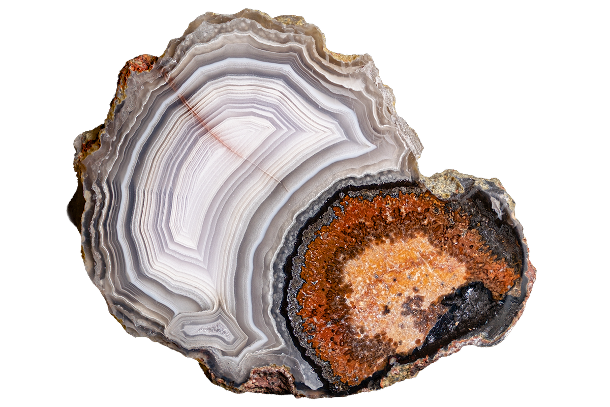 A polished slice of agate or banded stone with concentric bands of white, gray, and black, alongside a prominent orange-brown geode pocket with dark mineral edges, isolated on a white background.