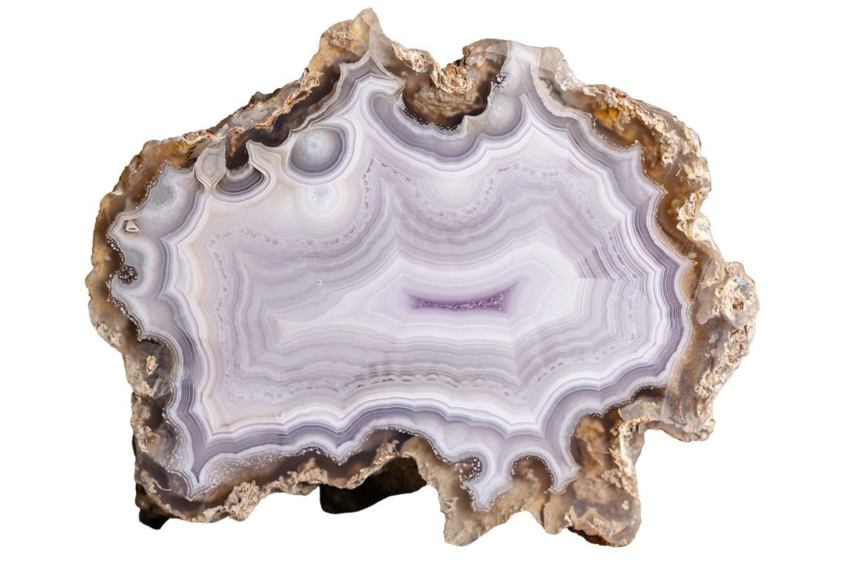A polished slice of agate or jasper stone with concentric banding in white, lavender, gray, and brown, isolated on a solid black background.