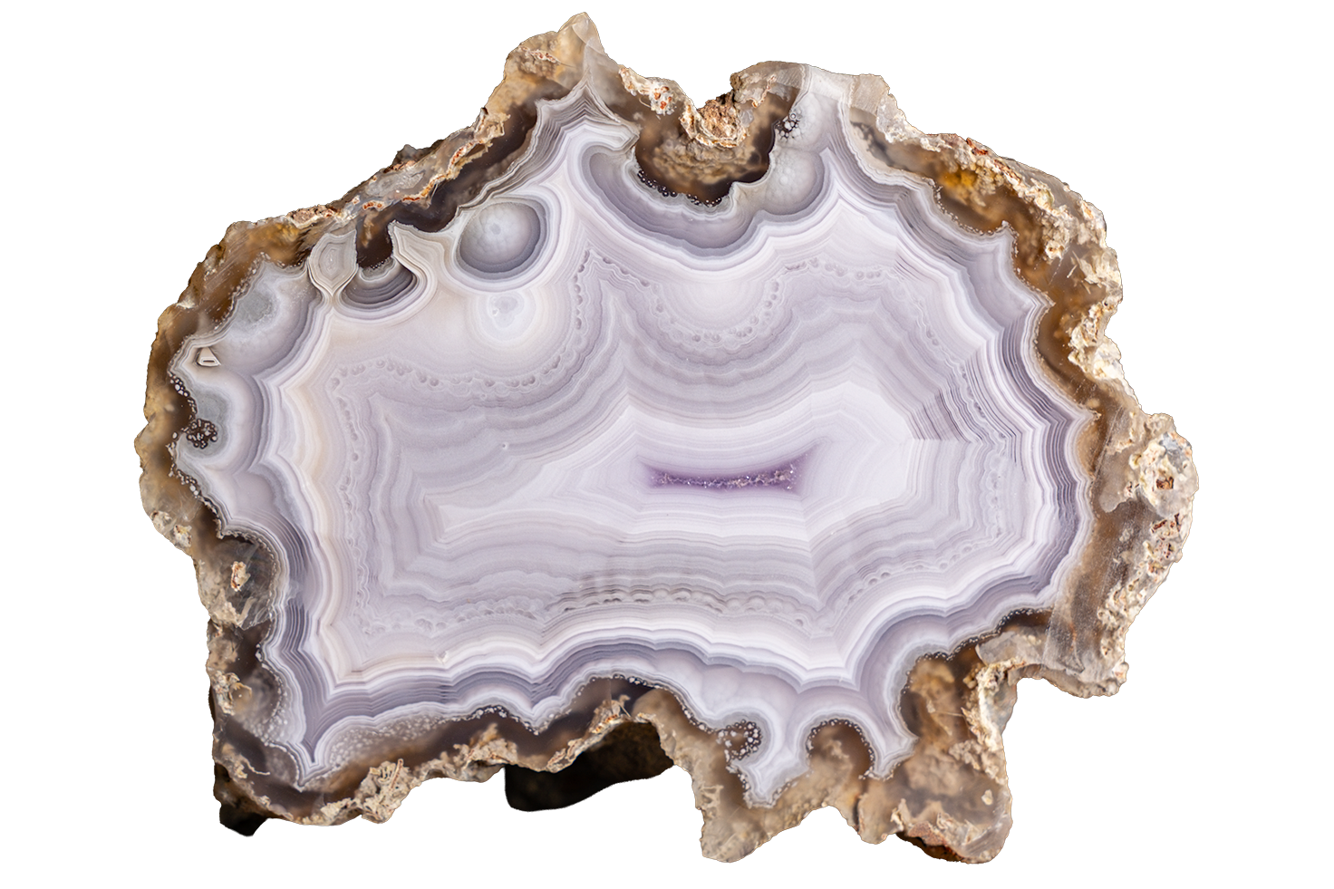 A polished slice of agate or jasper stone with concentric banding in white, lavender, gray, and brown, isolated on a solid black background.