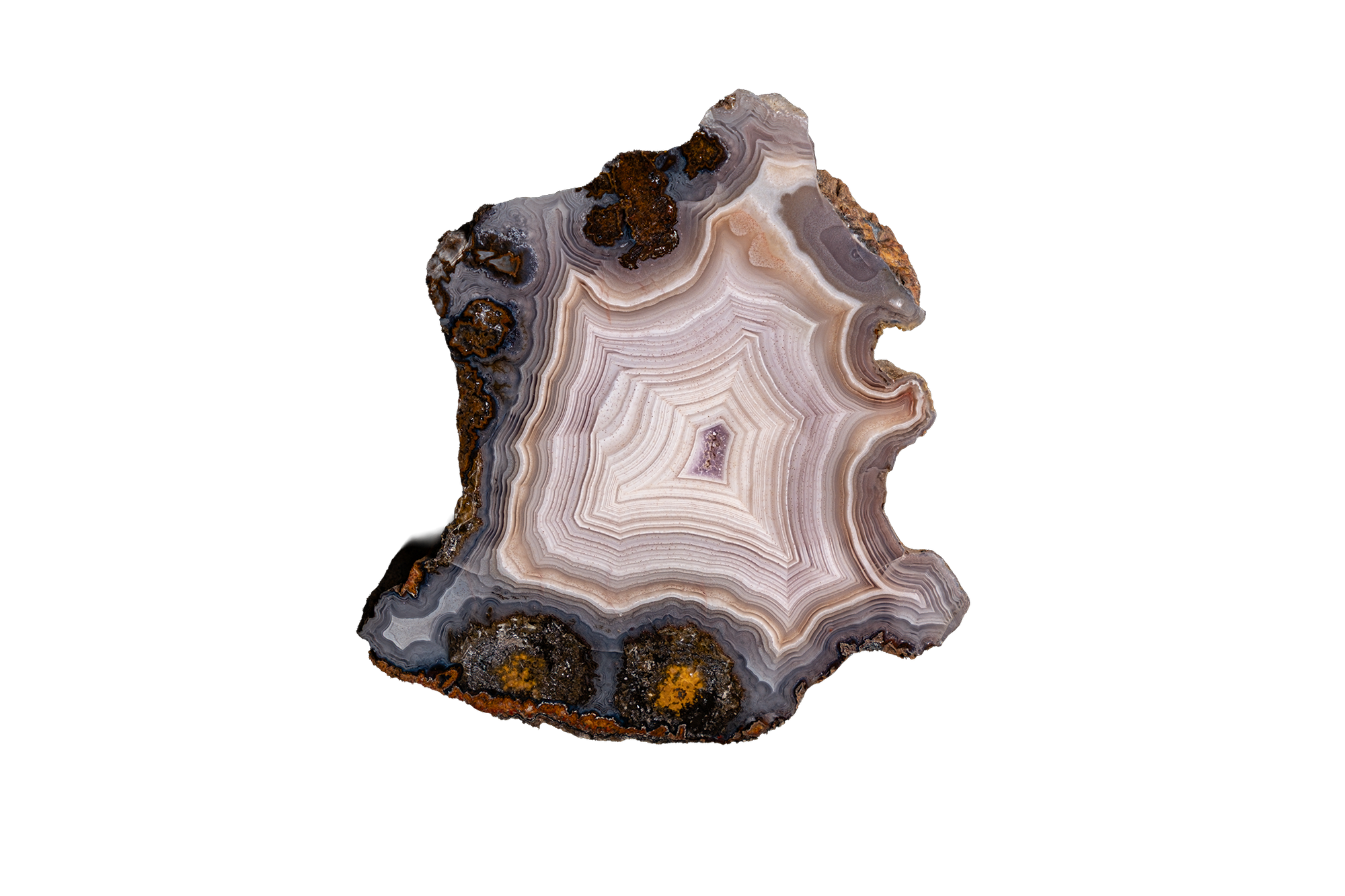 Starfire Fortification AGATE - Ojo Laguna | LAGB03-08