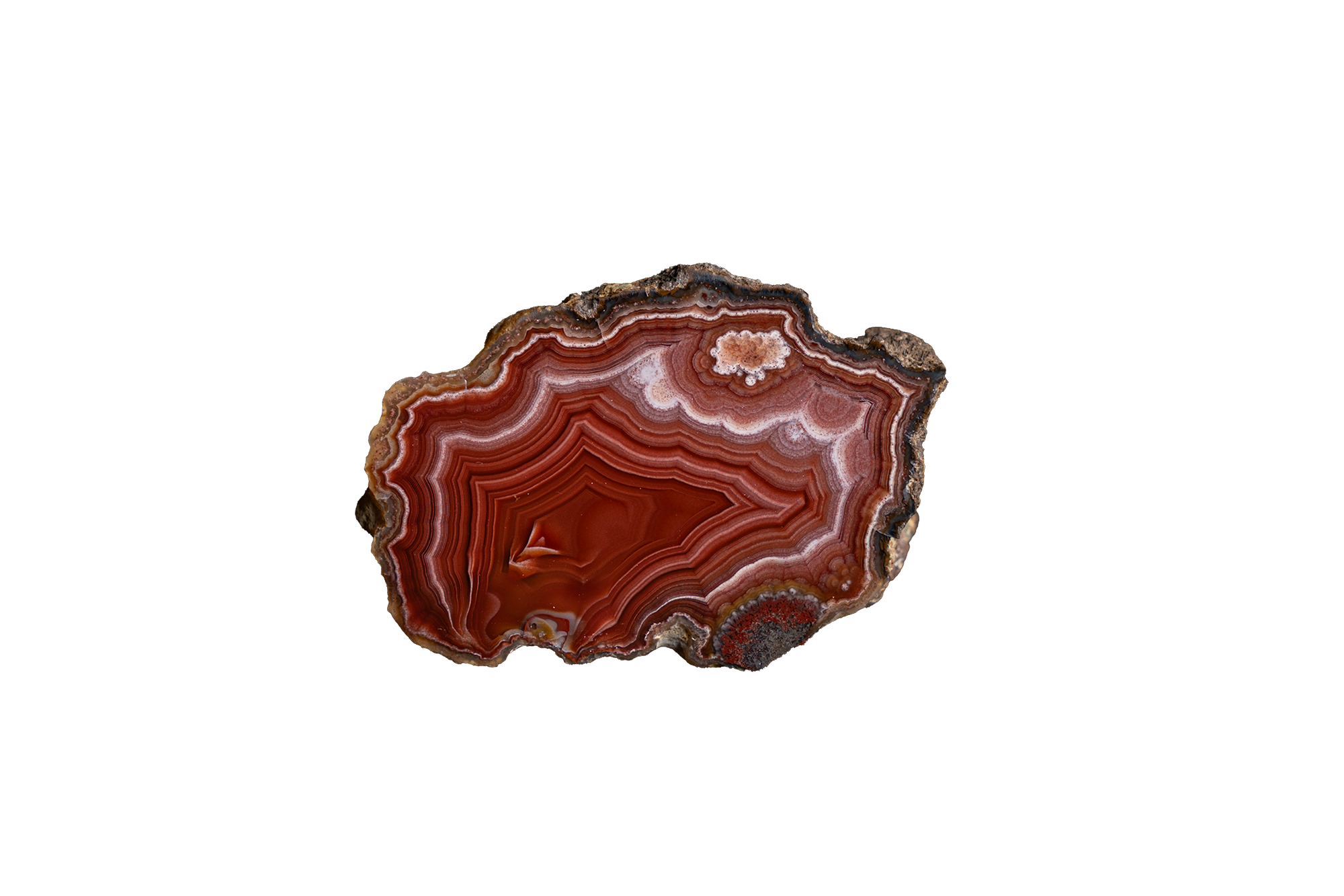 Scarlet Wave AGATE - Ojo Laguna | LAGB03-10