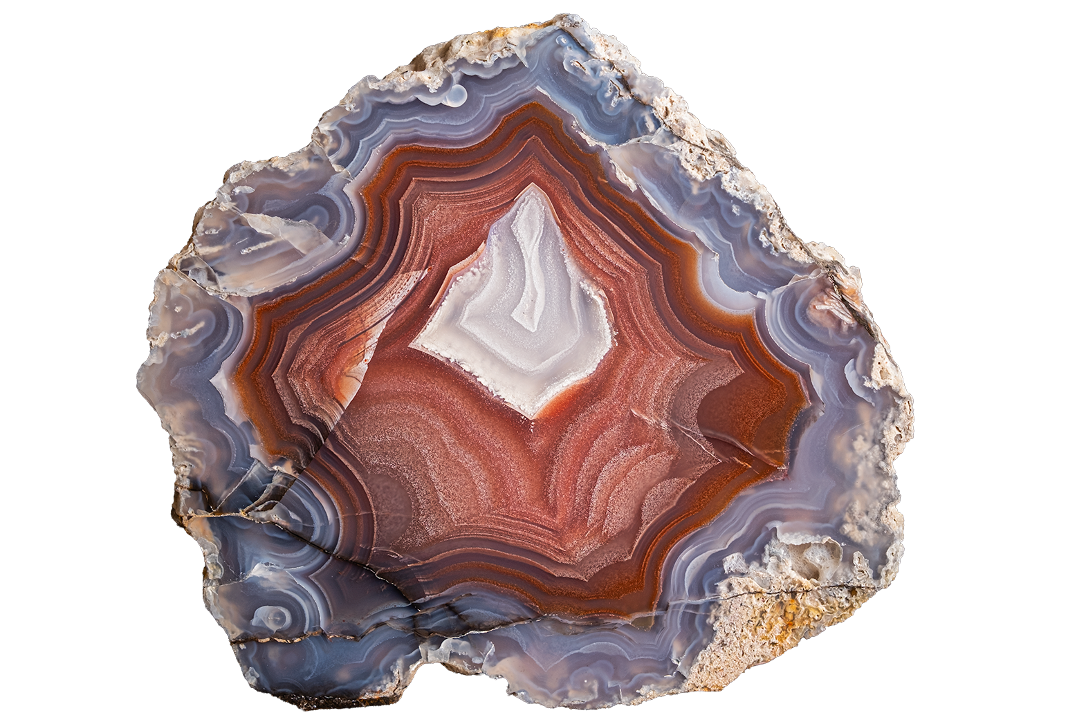 A polished slice of agate stone with concentric bands of white, reddish-brown, gray, and blue, isolated on a solid white background.