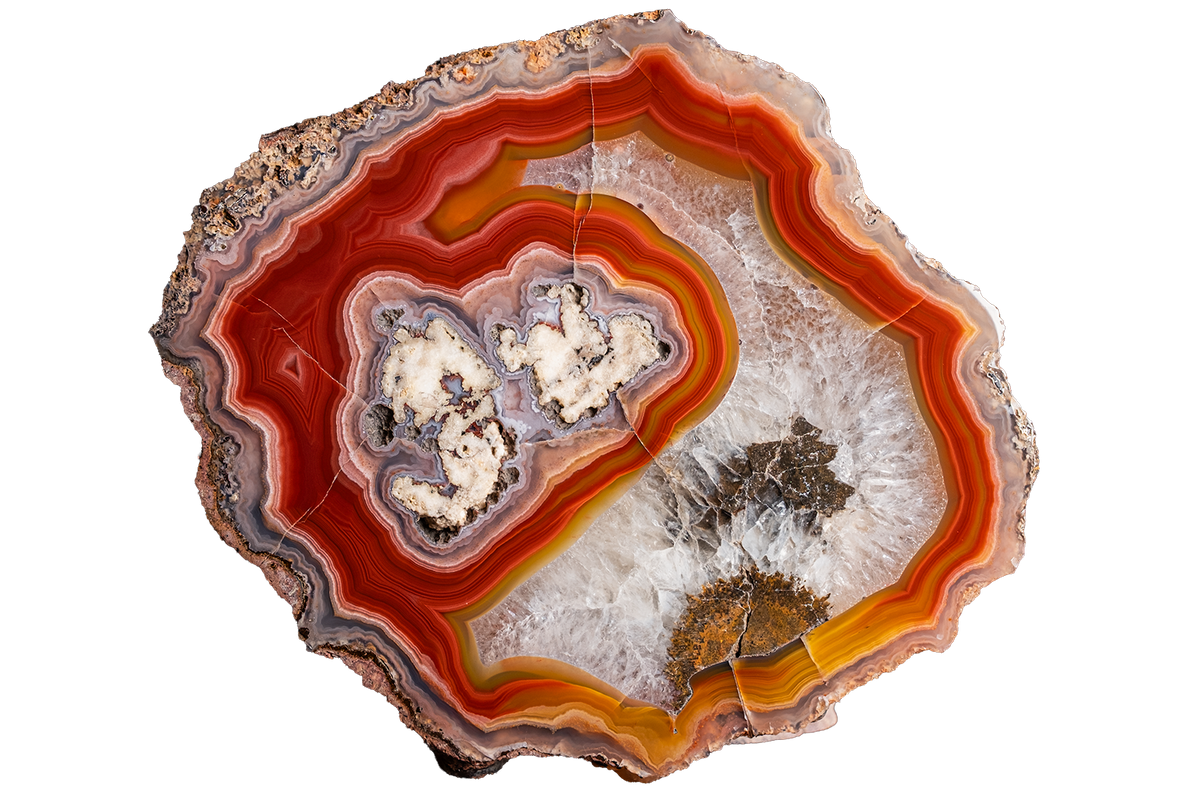 A polished slice of agate or banded stone with concentric bands of red, orange, brown, cream, and gray, shown on a plain white background.