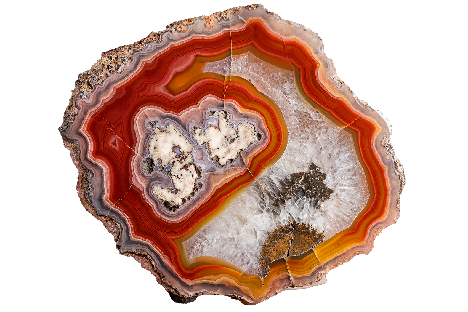 A polished slice of agate or banded stone with concentric bands of red, orange, brown, cream, and gray, shown on a plain white background.