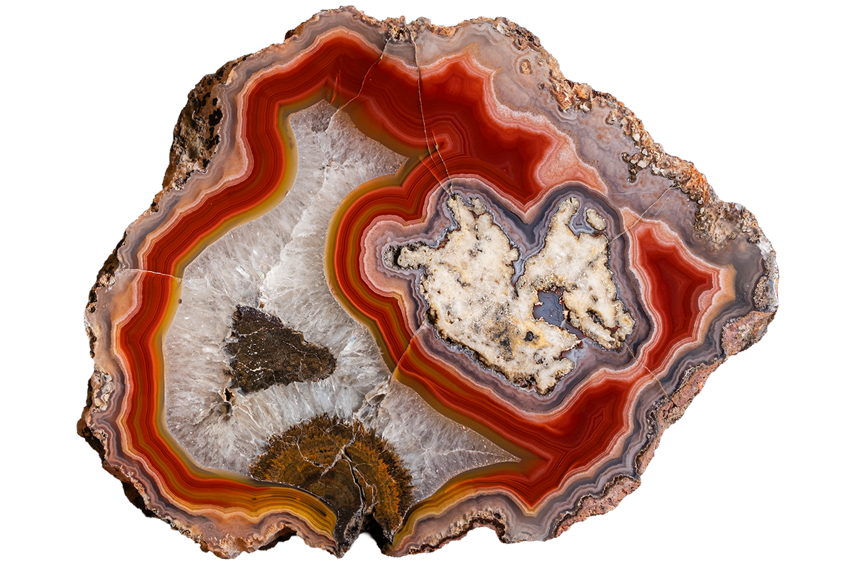 A polished slice of agate or jasper stone with concentric bands of red, orange, brown, cream, and gray, shown on a plain white background.