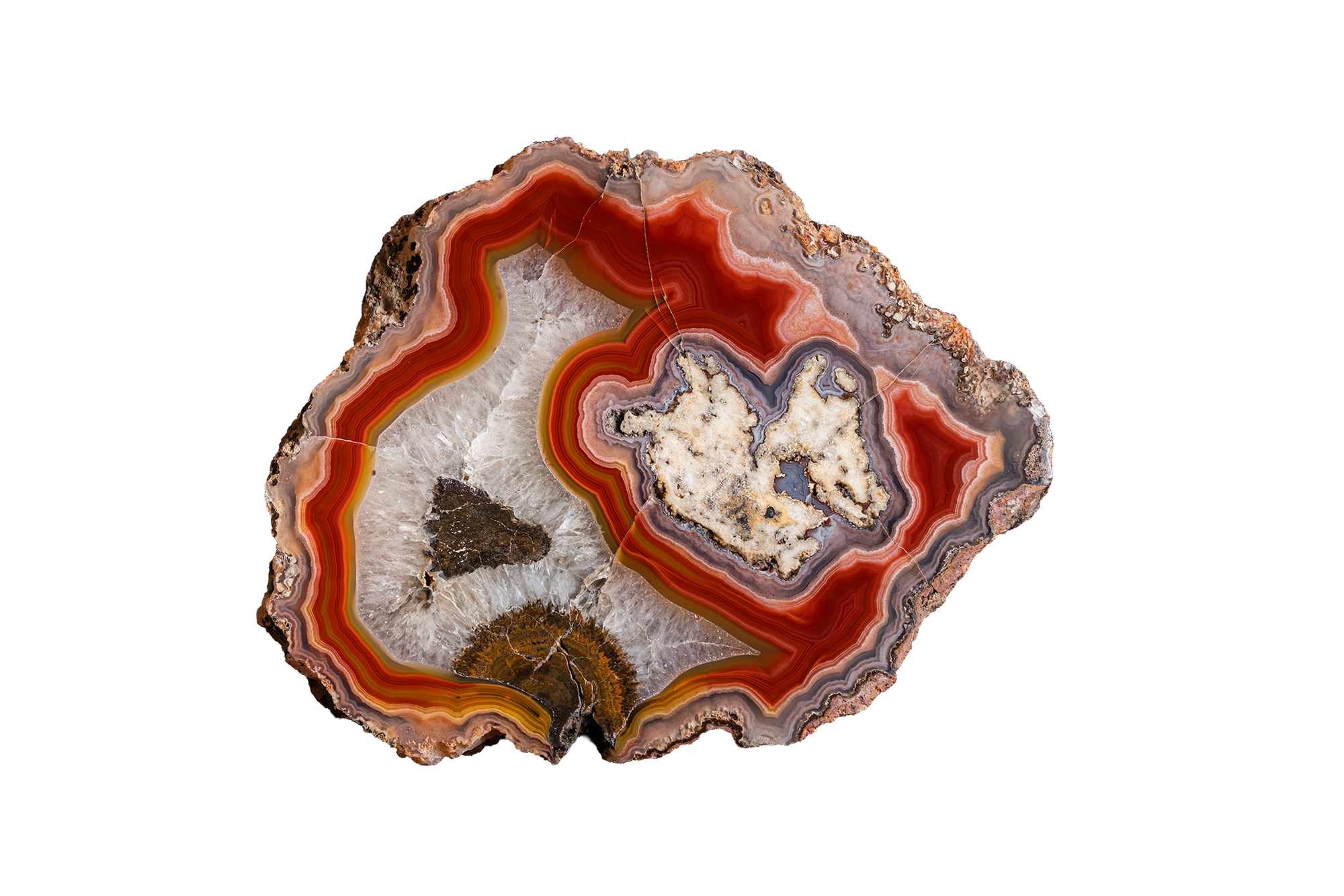 Fiery Corona "B" AGATE - Ojo Laguna | LAGB04-02b