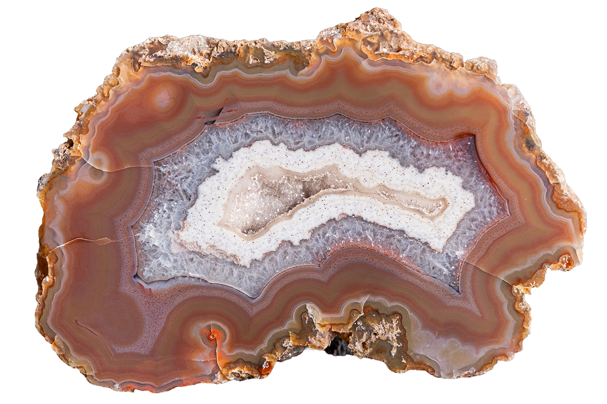 A polished slice of agate geode showing concentric bands of brown, orange, cream, and pale blue-gray, isolated on a solid white background.