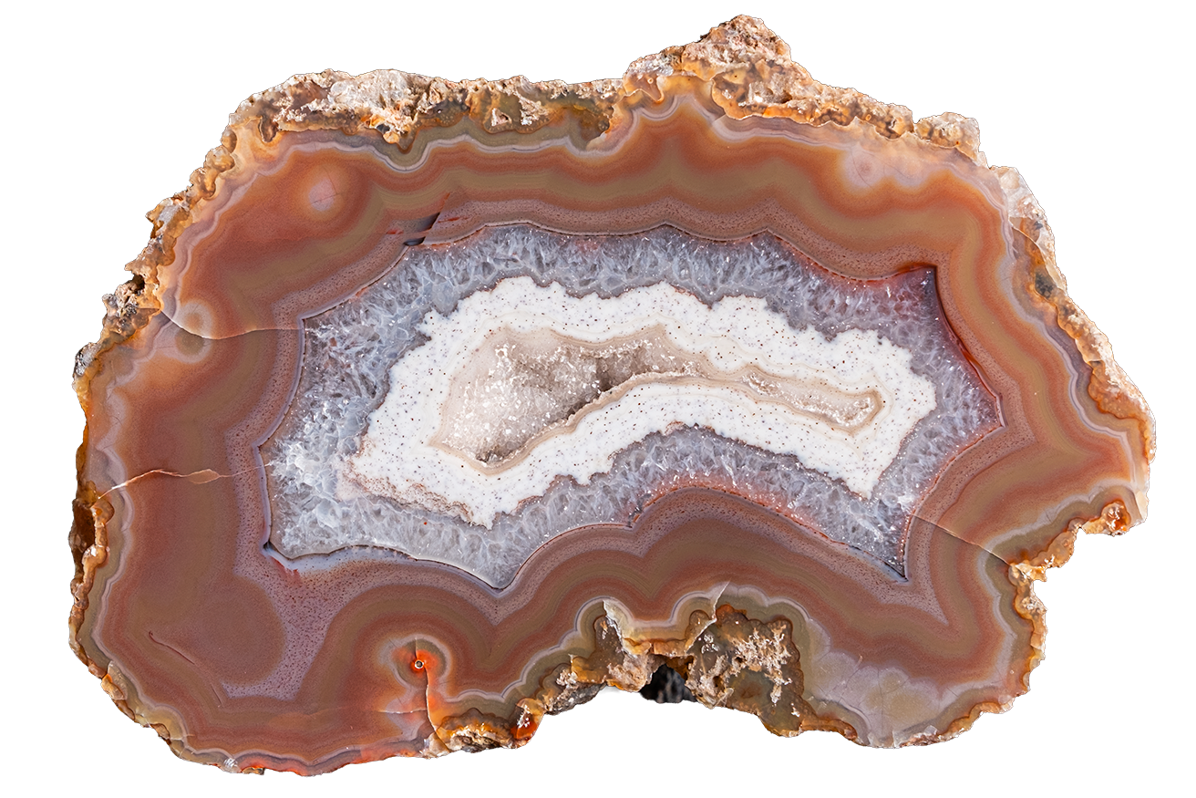 A polished slice of agate geode showing concentric bands of brown, orange, cream, and pale blue-gray, isolated on a solid white background.
