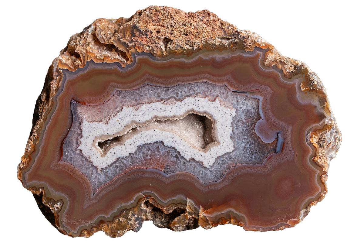 A polished cross-section of an agate or banded stone specimen with concentric bands of brown, reddish-brown, gray, white, and muted blue, shown on a plain white background.