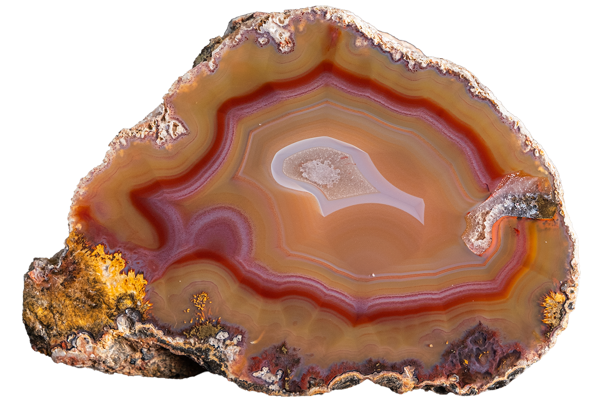 A polished slice of agate or jasper stone with concentric bands of brown, red, orange, cream, and purple, set against a solid white background.