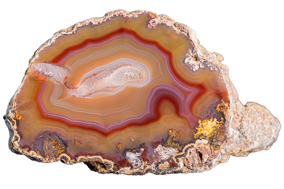 A polished slice of agate or jasper stone with concentric bands of orange, red, brown, cream, and purple, shown on a plain white background.