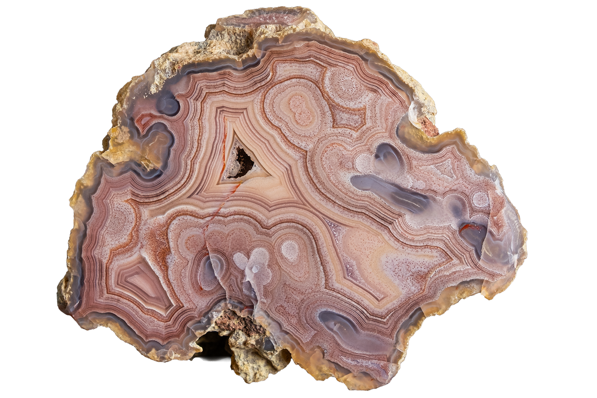 A polished slice of agate or banded stone with concentric bands in pink, beige, brown, and gray, shown on a plain white background.