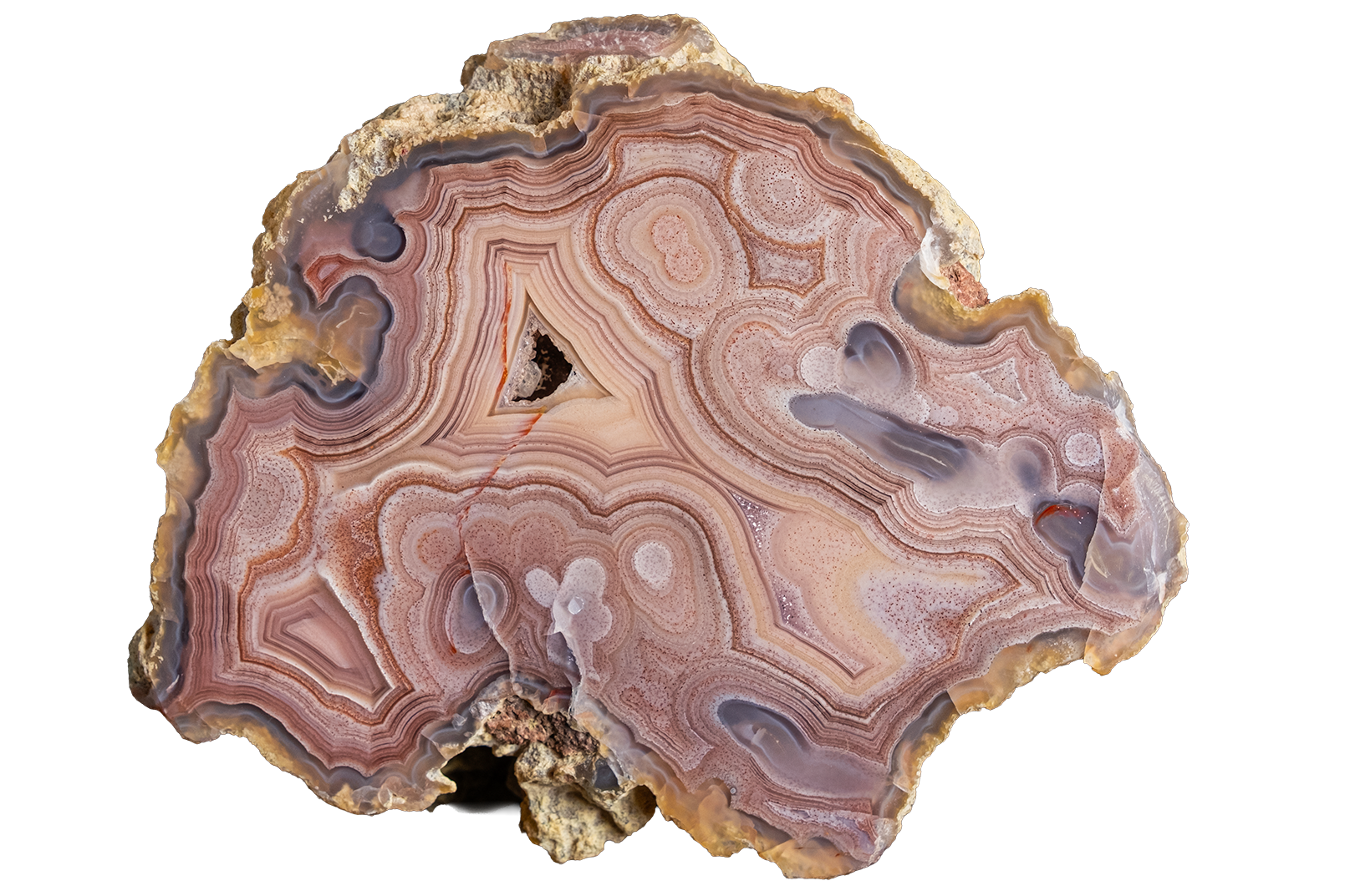 A polished slice of agate or banded stone with concentric bands in pink, beige, brown, and gray, shown on a plain white background.