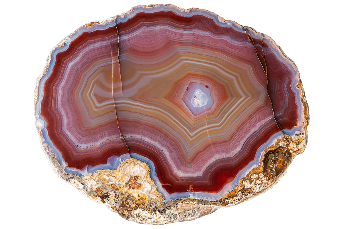 A polished slice of banded agate stone with concentric rings in red, brown, pink, cream, and pale blue, set against a plain white background.