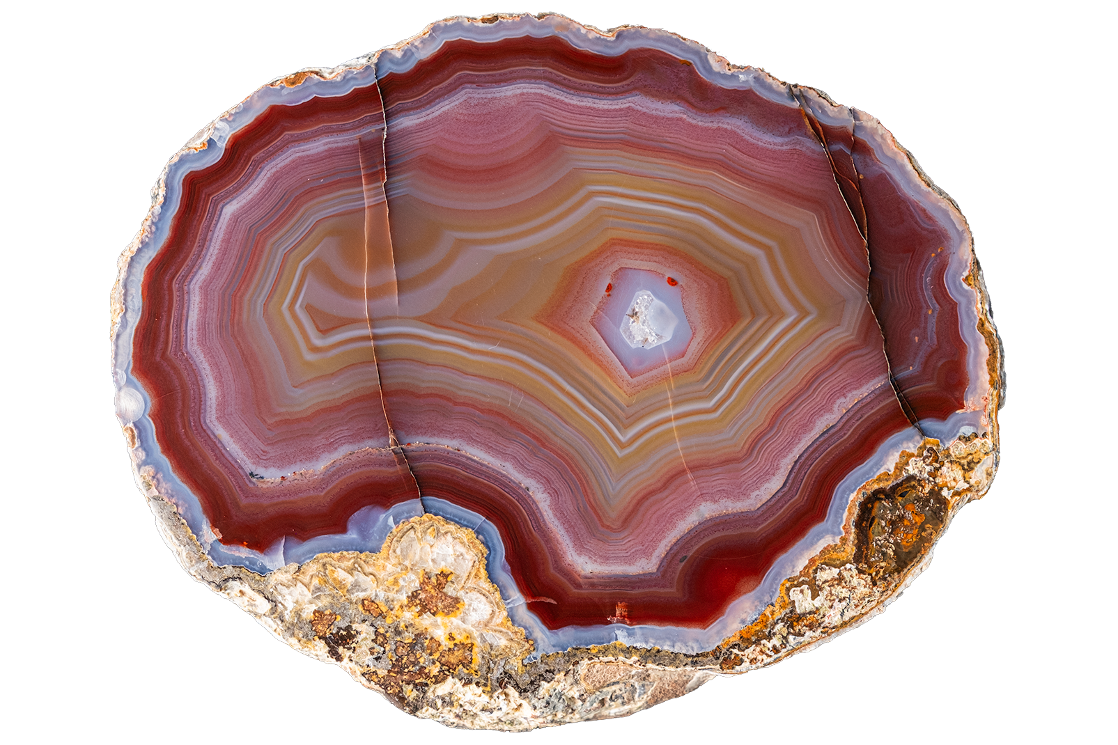 A polished slice of banded agate stone with concentric rings in red, brown, pink, cream, and pale blue, set against a plain white background.