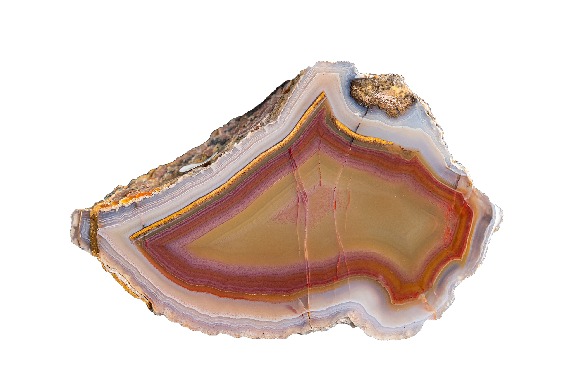 Sunset Ridge "A" AGATE - Ojo Laguna | LAGB05-03a