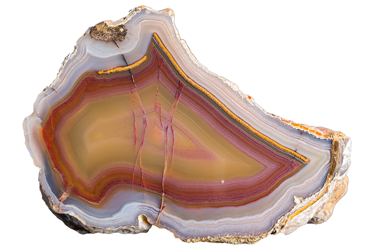 A polished slice of agate stone with concentric bands of yellow, orange, red, purple, blue, and white, isolated on a white background.