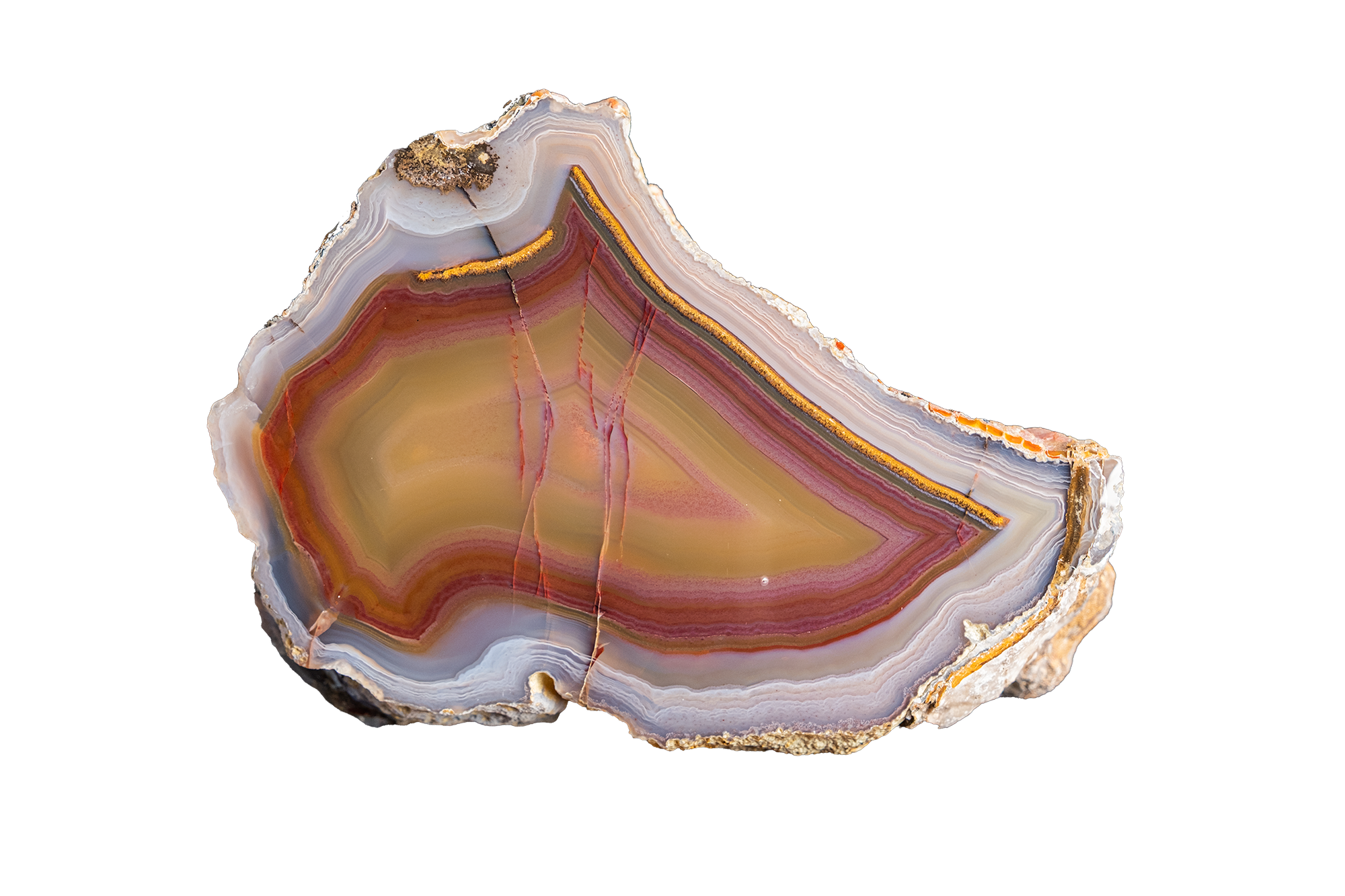 Sunset Ridge "B" AGATE - Ojo Laguna | LAGB05-03b