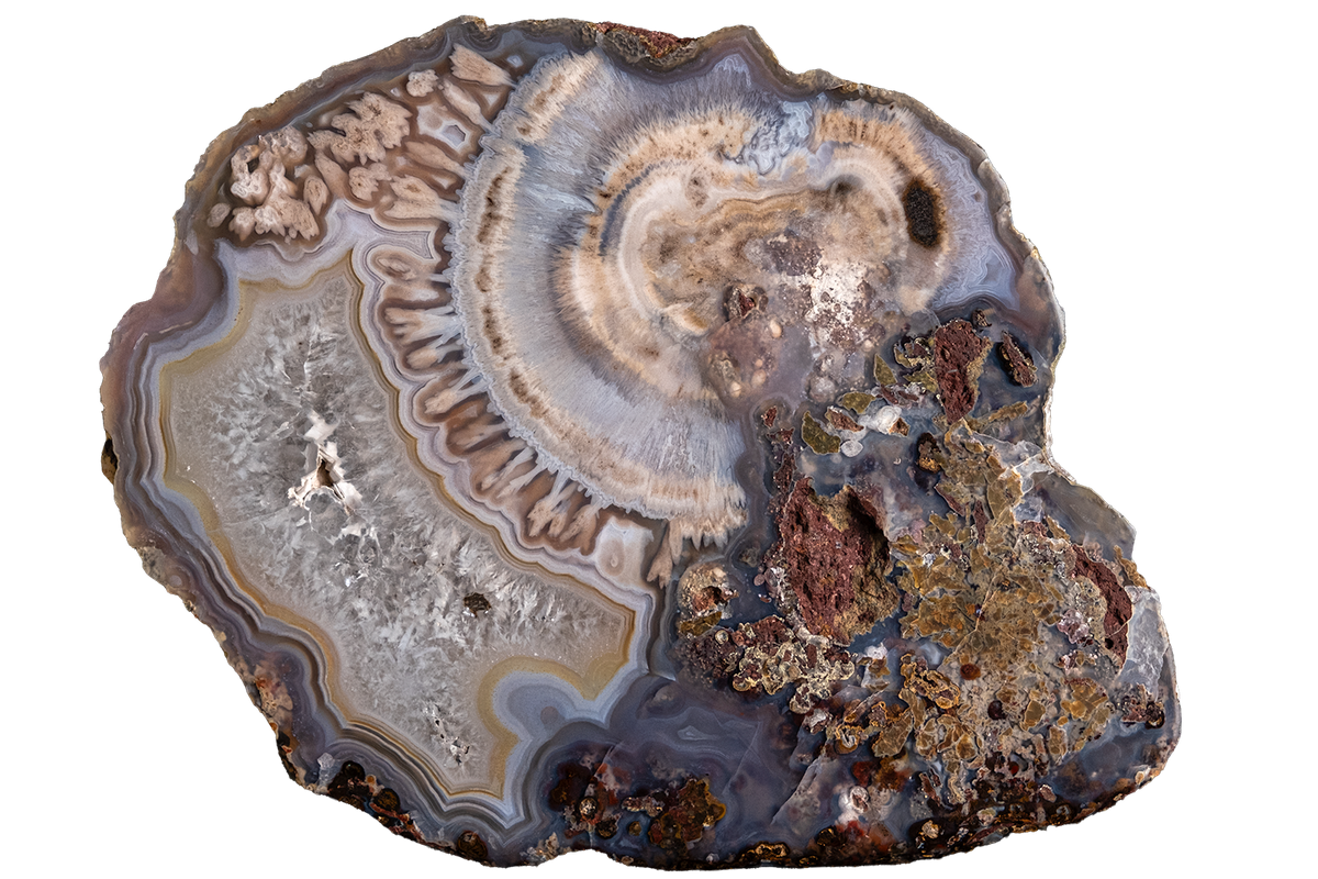 A polished agate geode slice with concentric banding in gray, beige, white, and brown, isolated on a solid white background.