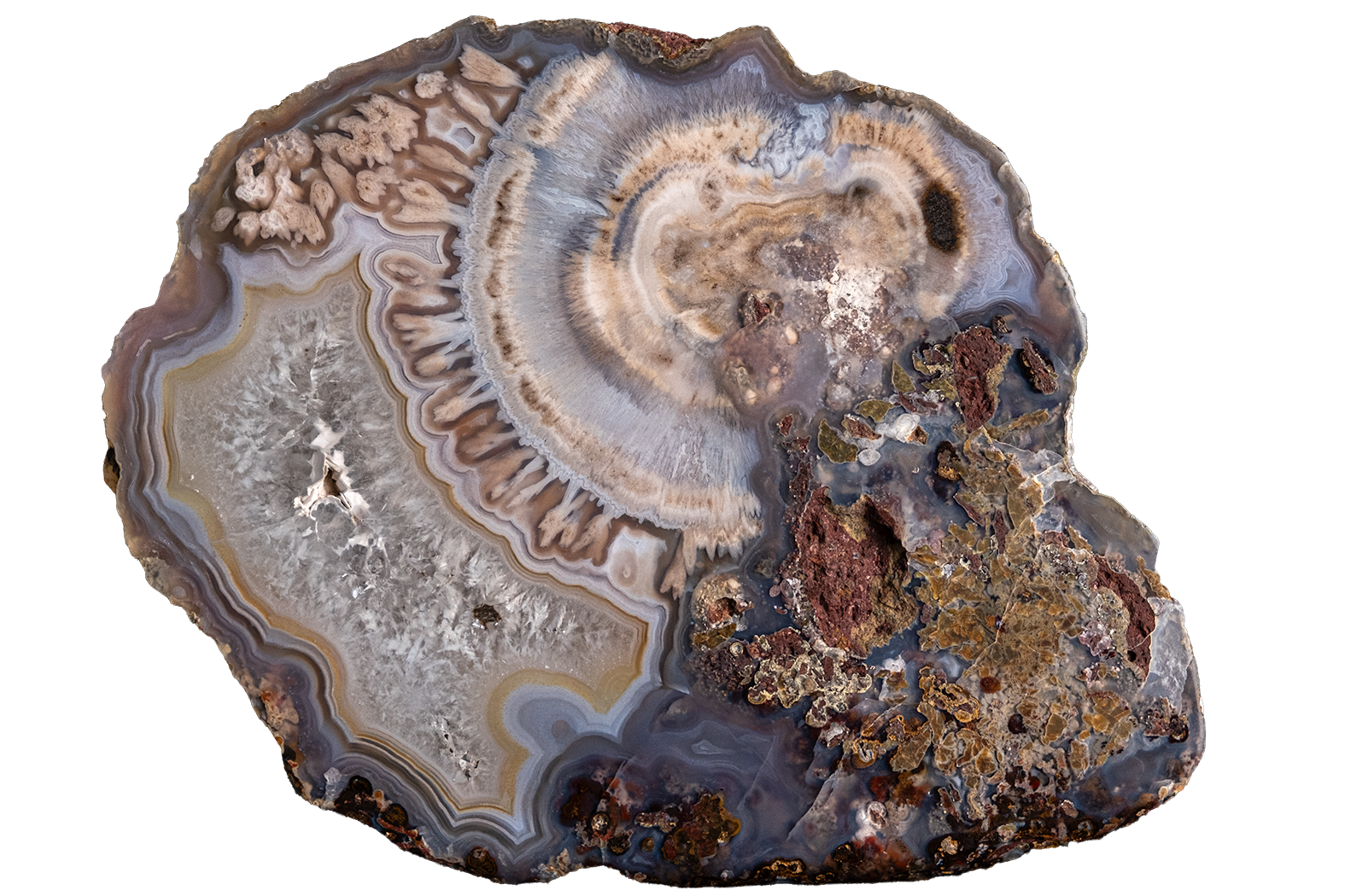 A polished agate geode slice with concentric banding in gray, beige, white, and brown, isolated on a solid white background.