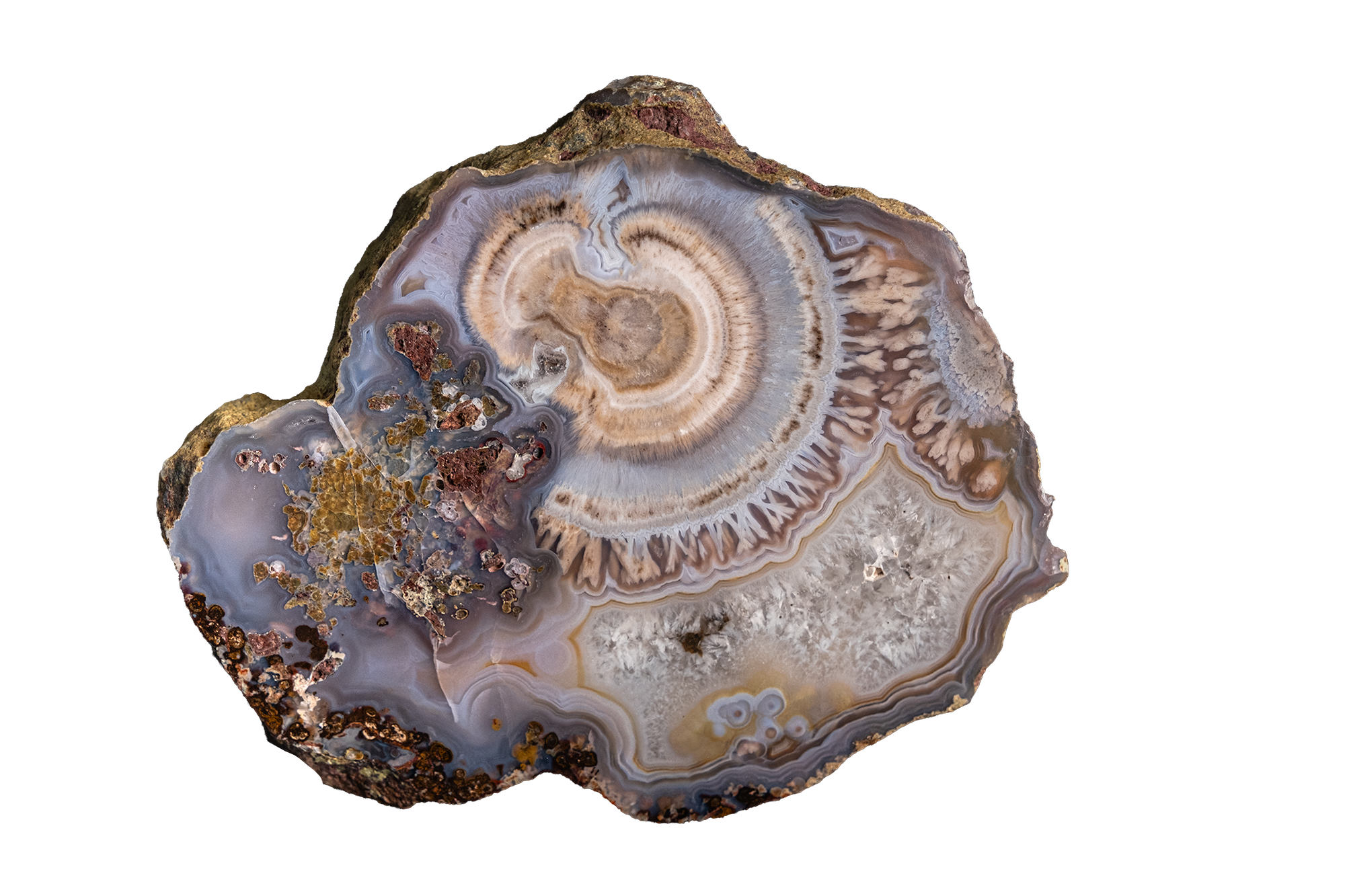 Celestial Vortex "B" AGATE - Ojo Laguna | LAGB06-02b