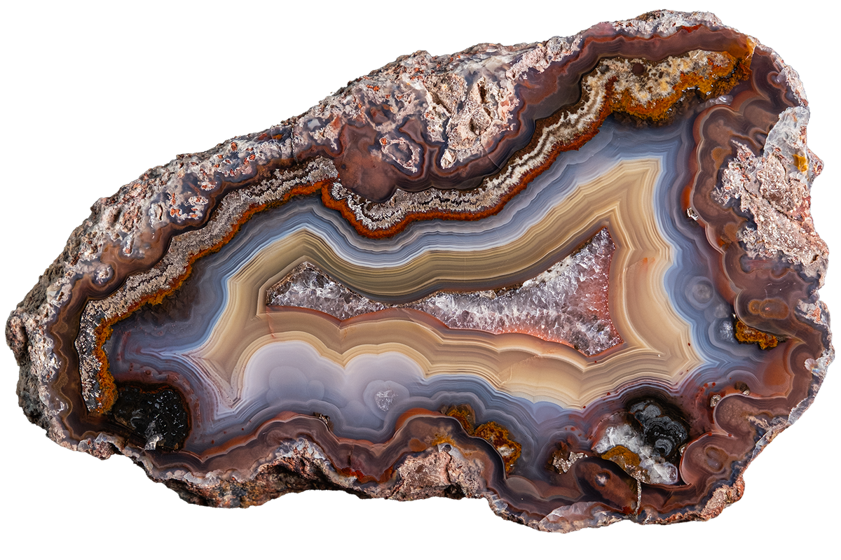 A polished geode slice with concentric bands of brown, beige, cream, blue-gray, and black, set against a solid white background.