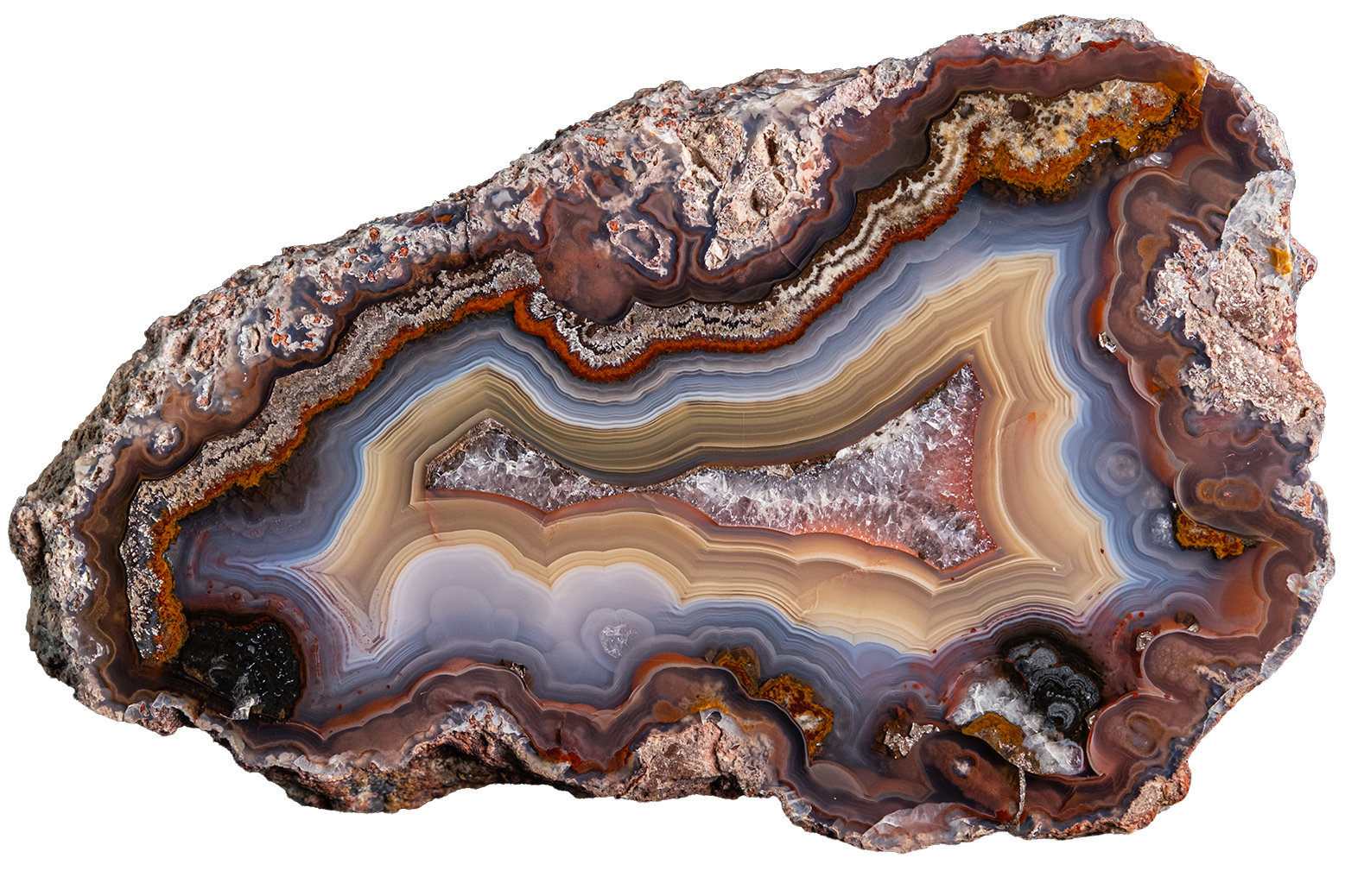 A polished geode slice with concentric bands of brown, beige, cream, blue-gray, and black, set against a solid white background.