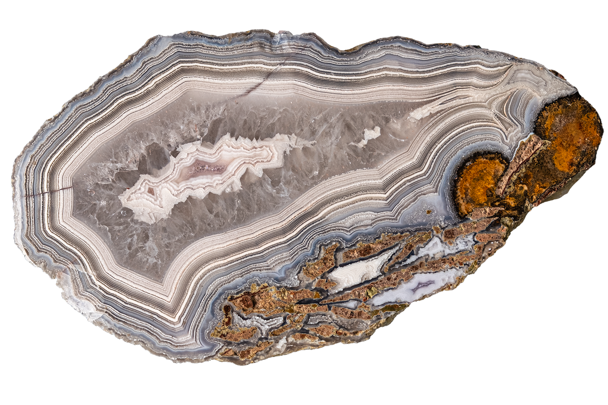A polished agate geode slice with concentric bands of gray, white, and brown, featuring a prominent orange-brown mineral cluster on one end, isolated on a white background.