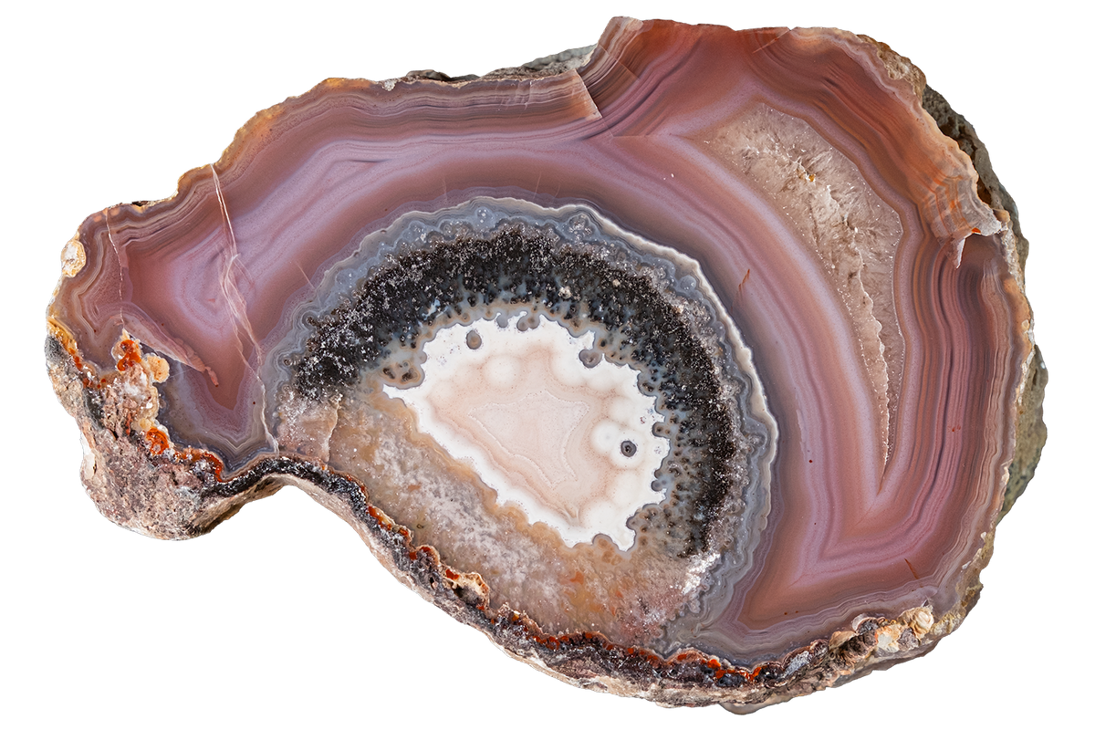 A polished slice of agate or jasper stone with concentric bands of brown, mauve, cream, and dark gray, isolated on a white background.