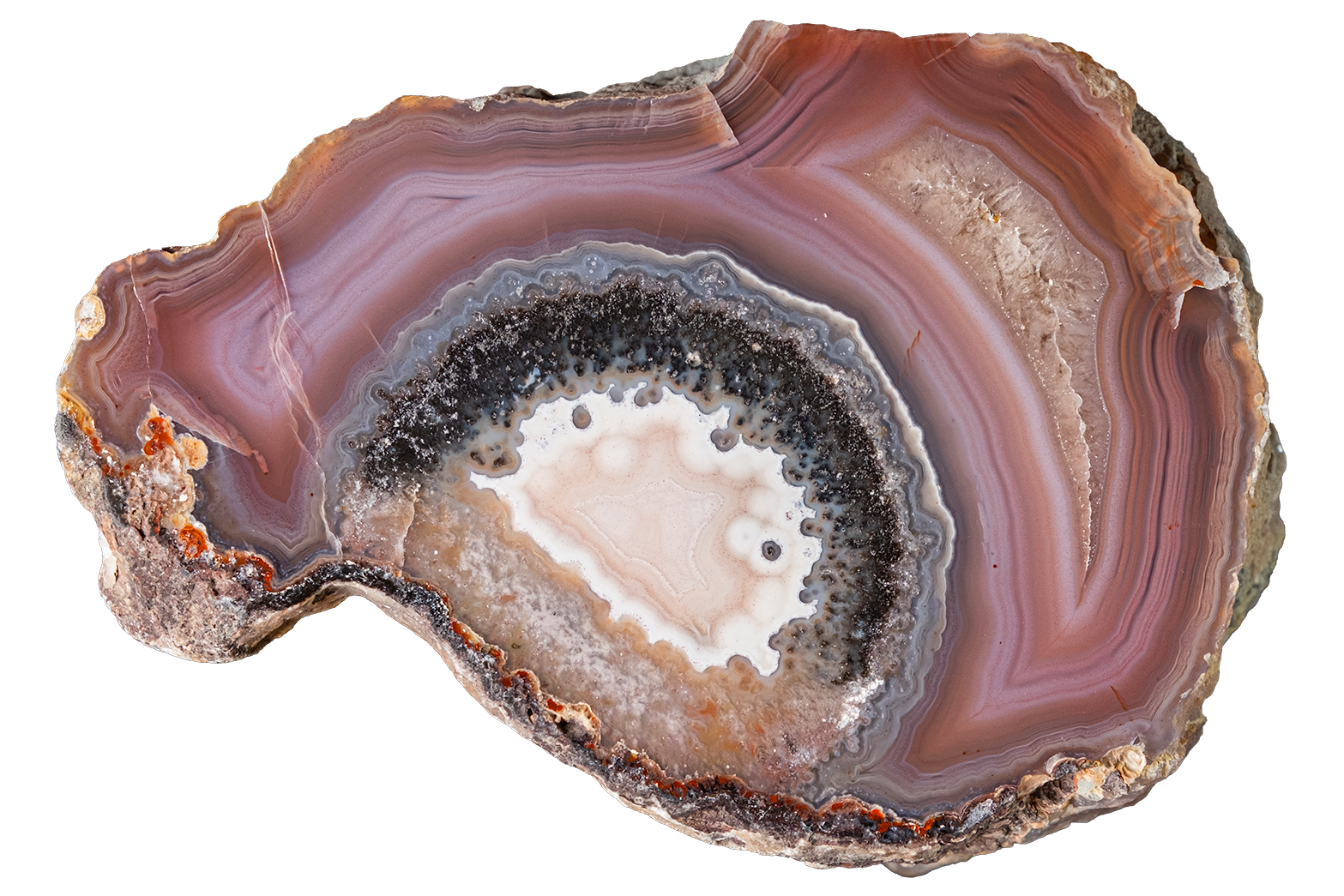 A polished slice of agate or jasper stone with concentric bands of brown, mauve, cream, and dark gray, isolated on a white background.