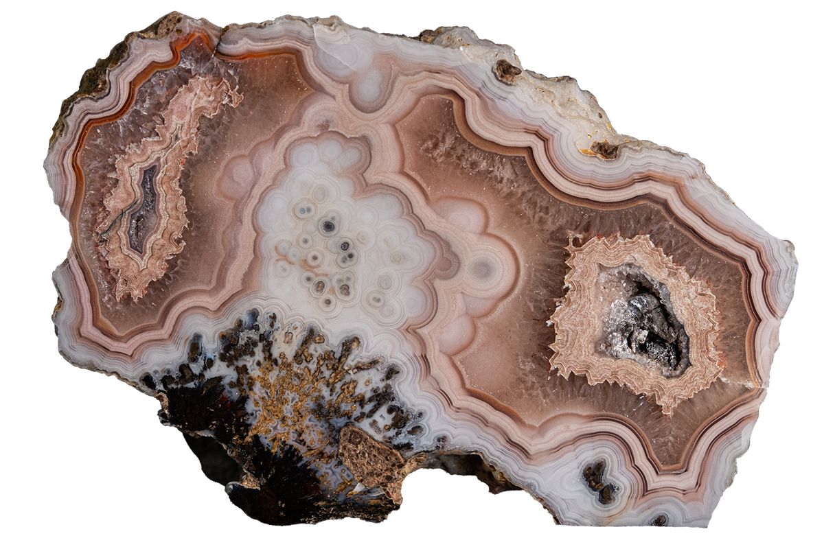 A polished agate stone slice with concentric bands of beige, brown, white, and dark brown, isolated on a solid white background.