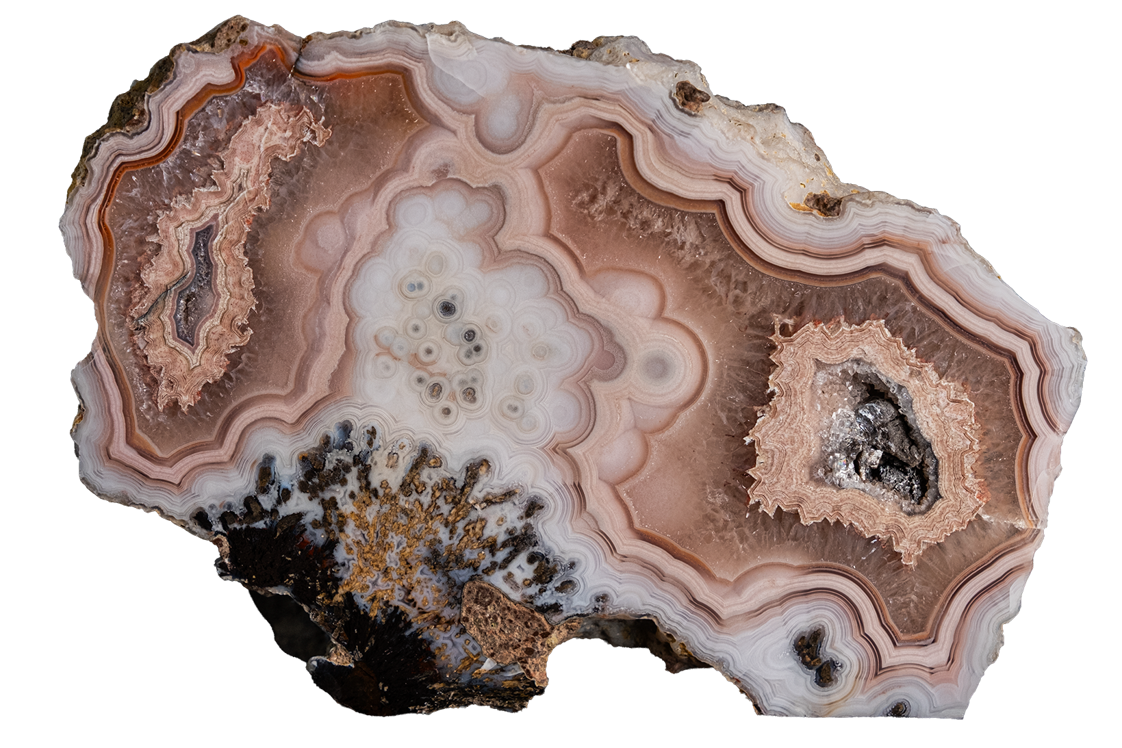 A polished agate stone slice with concentric bands of beige, brown, white, and dark brown, isolated on a solid white background.