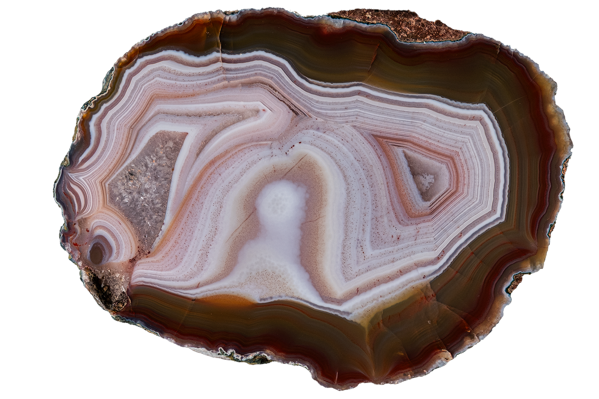 A polished slice of agate or banded stone with concentric bands of brown, cream, pink, and gray, photographed on a plain white background.