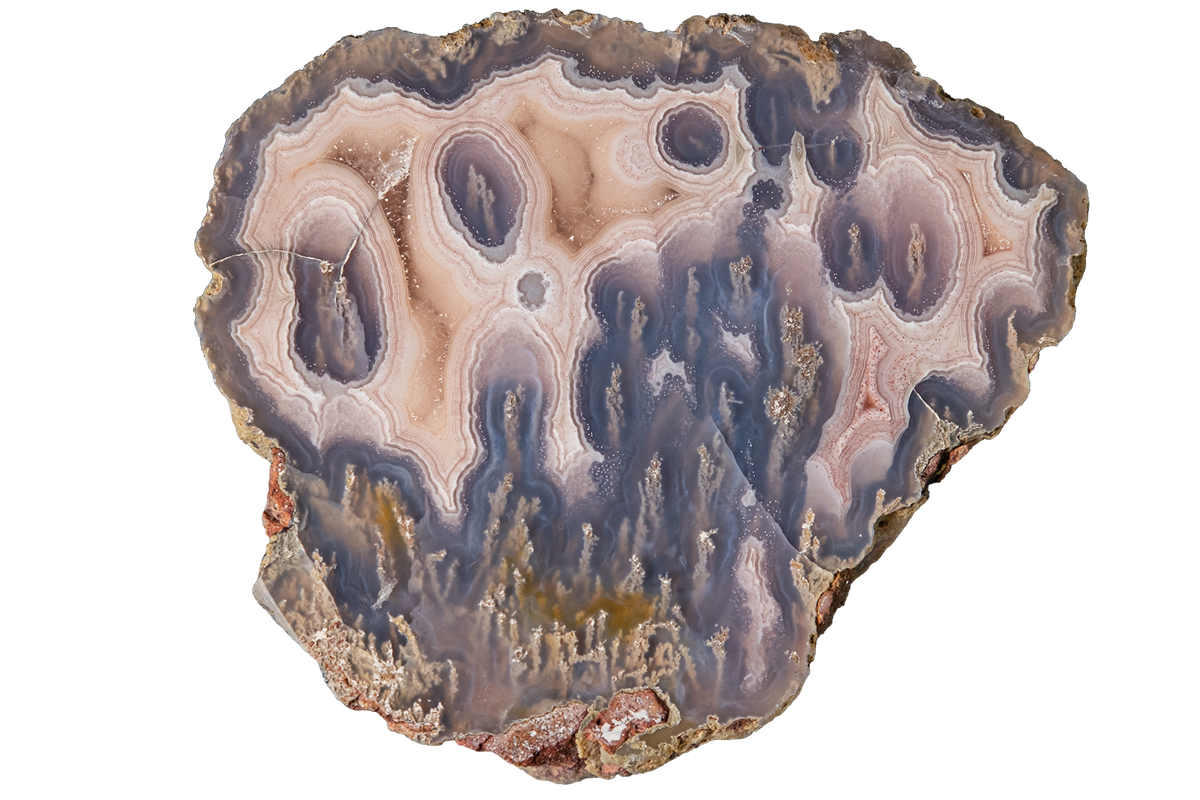 A polished agate slice specimen with concentric banding in shades of blue, gray, beige, and brown, isolated on a solid white background.