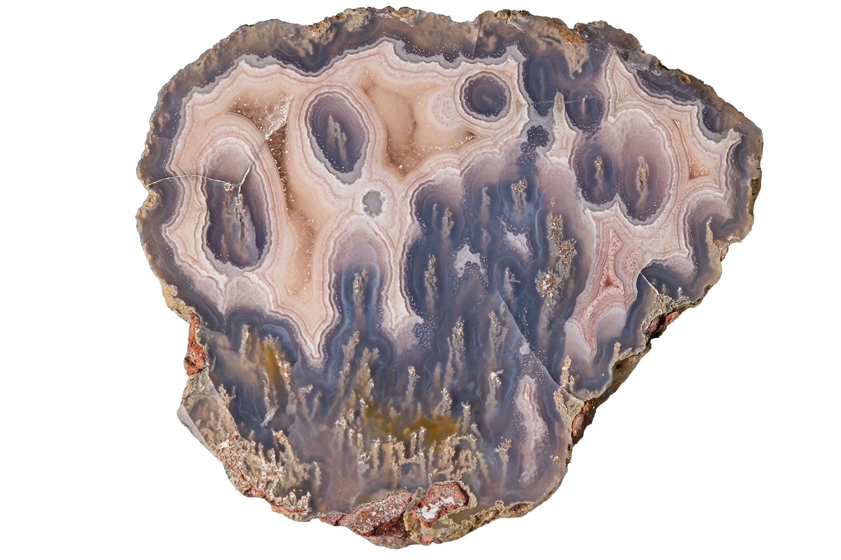 A polished agate slice specimen with concentric banding in shades of blue, gray, beige, and brown, isolated on a solid white background.