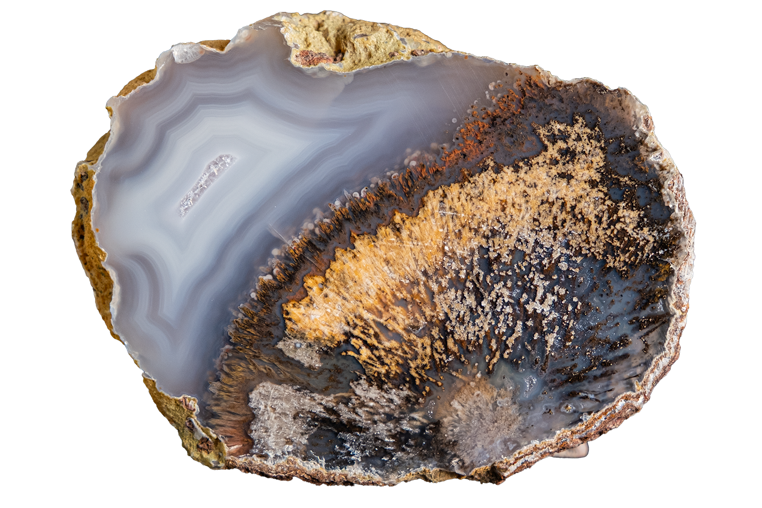 LAGB09-09 | SANTA MONICA AGATE