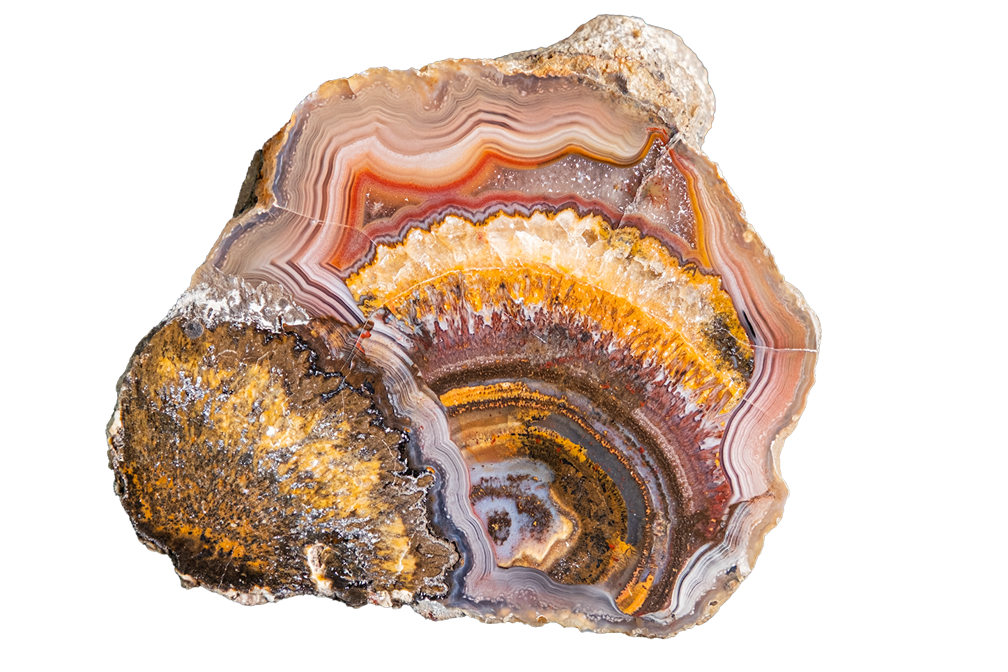 LAGB10-01a | SANTA MONICA AGATE